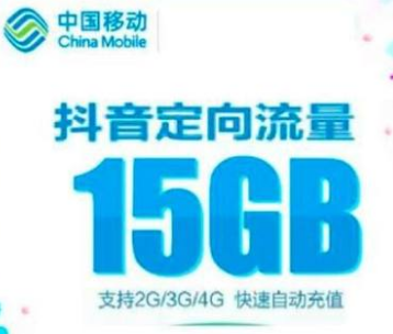 山东移动手机流量抖音定向流量月包15GB当月有效（不提速）