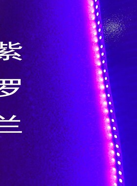 led灯带 12V/24V紫罗兰深紫粉紫色光高亮户外防水葡萄紫氛围灯条