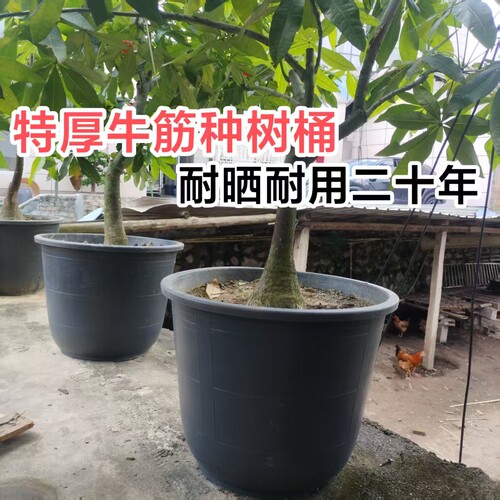 特厚牛筋种树桶特大植树桶
