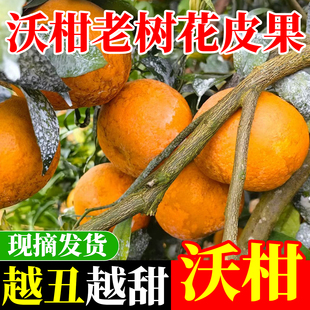 正宗武鸣广西花皮非洲乌柑带箱10斤新鲜沃柑当季水果薄皮橘子桔子