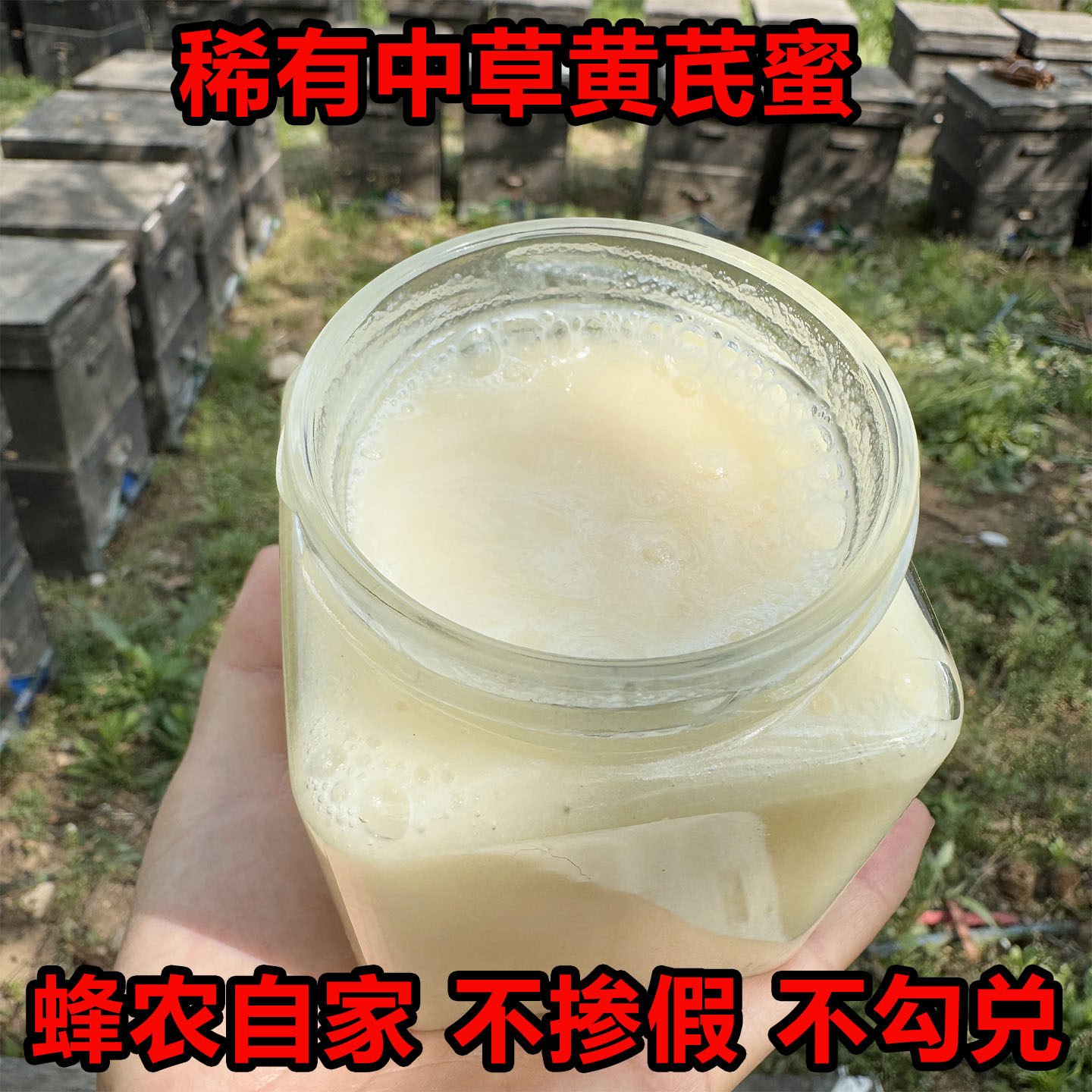 堂春自家蜂场黄芪蜜中草蜜源农家纯正天然蜂蜜正品