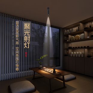 迷你茶室氛围灯15度洗墙照画餐桌博物馆轨道灯 聚光射灯小角度明装