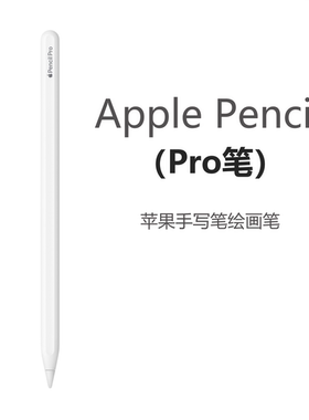 2025款苹果Apple Pencil Pro绘画手写笔 重力压感笔 磁吸充电新款