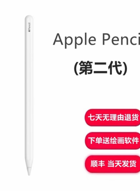 Apple/苹果pencil二代笔 重力压感笔 绘画手写笔 磁吸充电磁吸笔