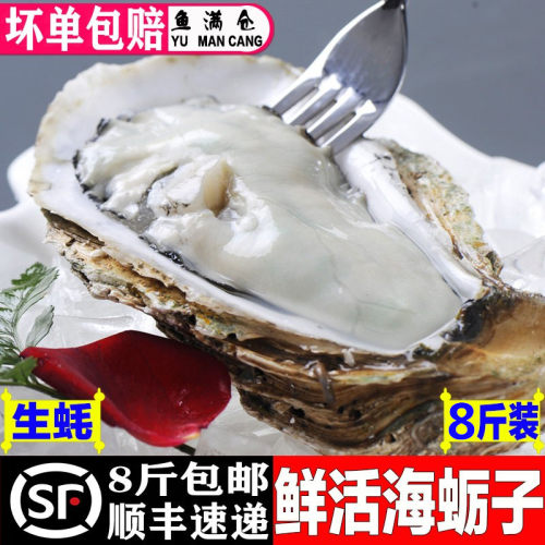 连云港生蚝鲜活海鲜牡蛎水产