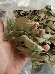 神秘果干叶100克