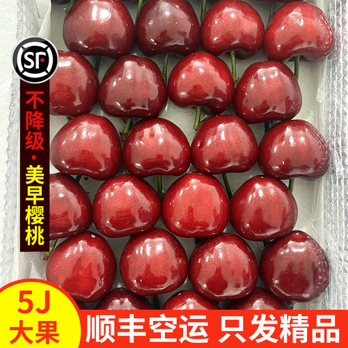 顺丰空运！现摘烟台美早大樱桃