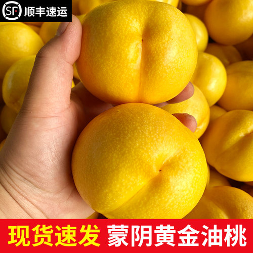 头茬黄金油桃！顺丰现摘