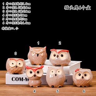 多肉花盆可爱萌猫头鹰陶瓷迷你多肉花盆猫头鹰动物拇指盆特价 清仓