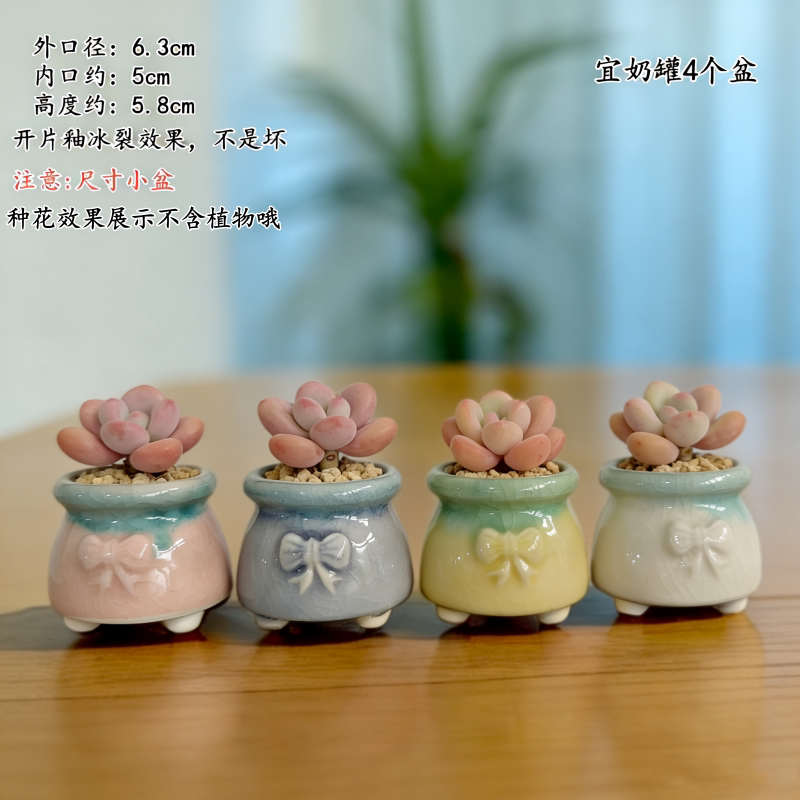 陶瓷冰裂小奶罐花盆桌面摆设盆栽图片