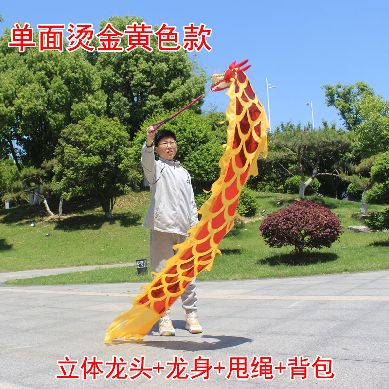 舞龙彩带健身甩甩龙身新款道具儿童广场舞带手耍龙空竹龙表演运动