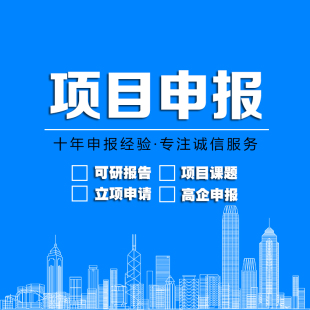 项目课题申报立项社科教育结题报告设计论证可行报告计划书