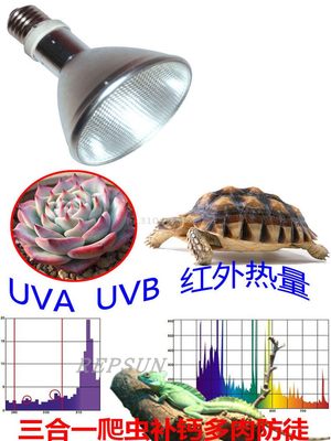 全光谱金卤灯UVB用变压器/HID整流器35W50W70W100W150W电子镇流器