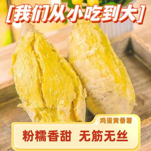 广东正宗潮汕鸡蛋黄番薯黄心板栗薯甜糯软糯新鲜沙地农家自种地瓜