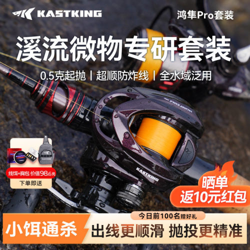 卡斯丁鸿隼pro路亚竿全套微物套