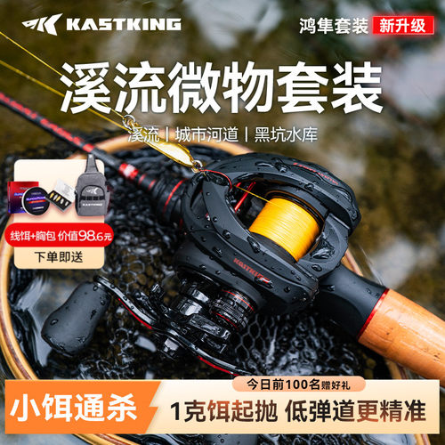 卡斯丁鸿隼pro路亚竿全套微物套