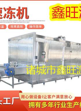 鑫旺源 水果平板式冻机设备厂家 海红果流态化隧道式速冻机