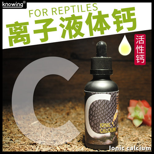 离子液体钙陆龟鬃狮蜥变色龙