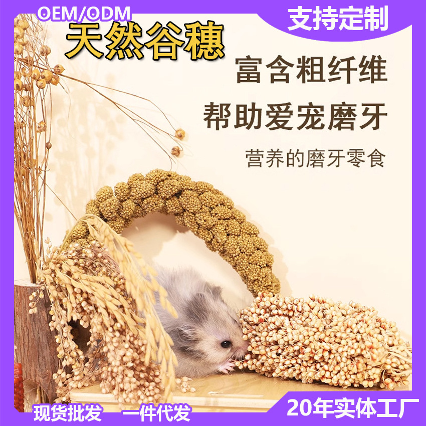 新谷穗小米穗天然麦穗仓鼠磨牙零食小宠物笼子造景谷物花草亚麻