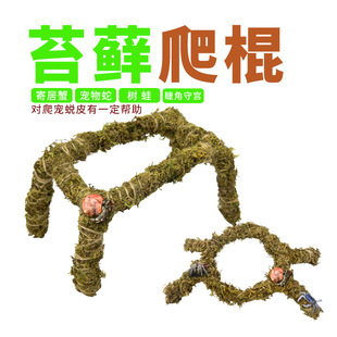 爬宠攀爬棍外包苔藓保湿睫角守宫寄居蟹宠物蛇攀爬支架藤条造景