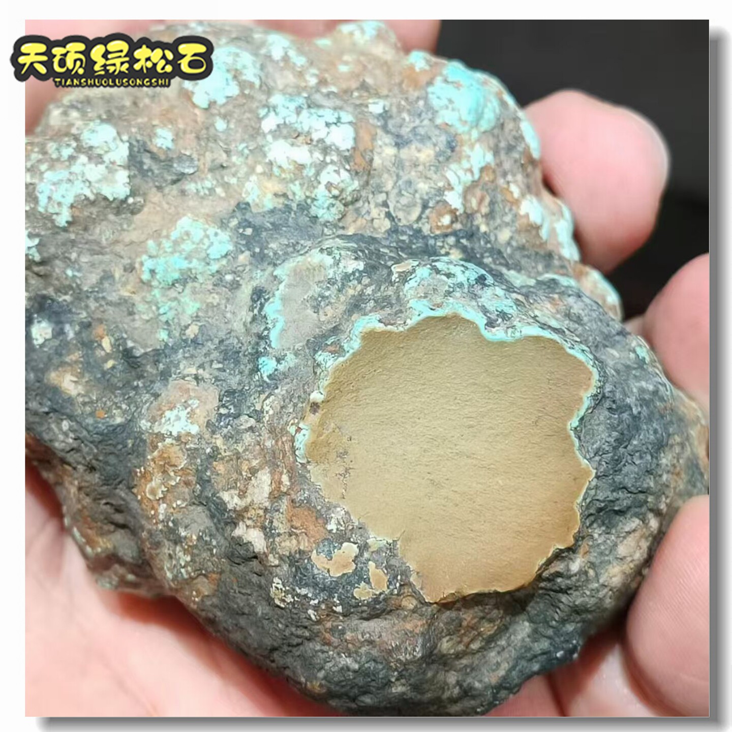 绿松石天然原矿原石保真无泡油青黄毛石毛料无优化矿区圆疙瘩料