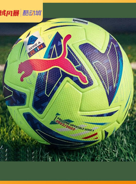 西域风暴 彪马意甲联赛A标FIFA Quality Pro比赛5号足球084005 01