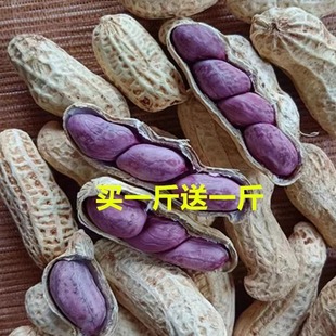 薯萌萌25年新紫衣龙岩湿烤花生连城红衣小种五香蒜味水煮白晒特产