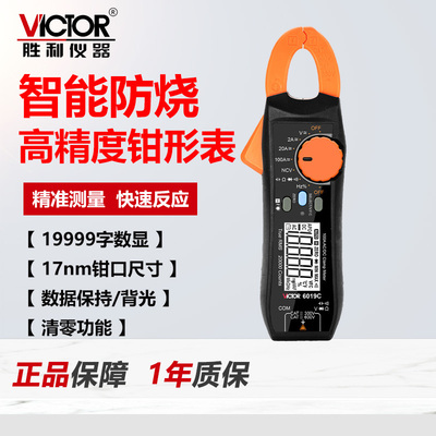 高精度钳形表6019万用表