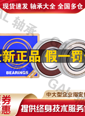 NSK轴承S 6206 ZZ DDU VV 2R S Z hZ NR轴承 P5