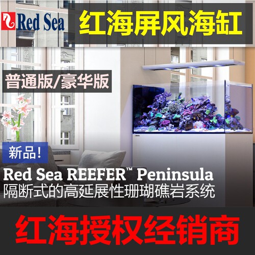 redsea红海隔断式海缸海水珊瑚