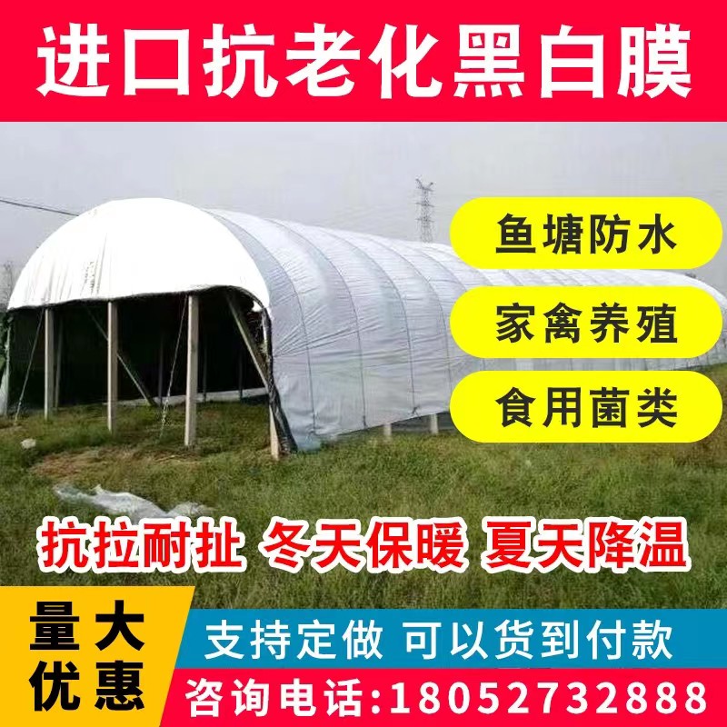 进口黑白膜大棚膜加厚养殖膜鸡猪隔热降温防晒反光膜食用菌绿白膜 农机/农具/农膜 农用薄膜 原图主图