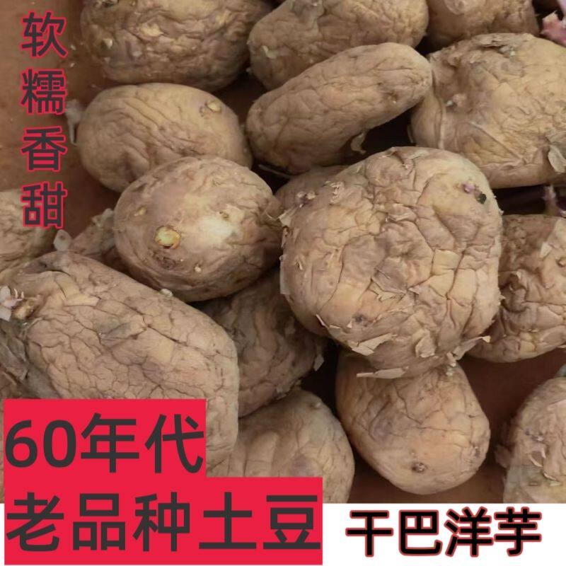 云南干巴洋芋贵州特产老品种黑心土豆发芽隔年农村马铃薯带甜味