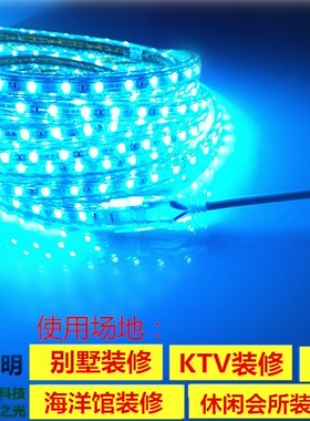 220V冰蓝色灯带冷蓝色灯条LED冰蓝色220V浅蓝色灯条220V冰蓝光