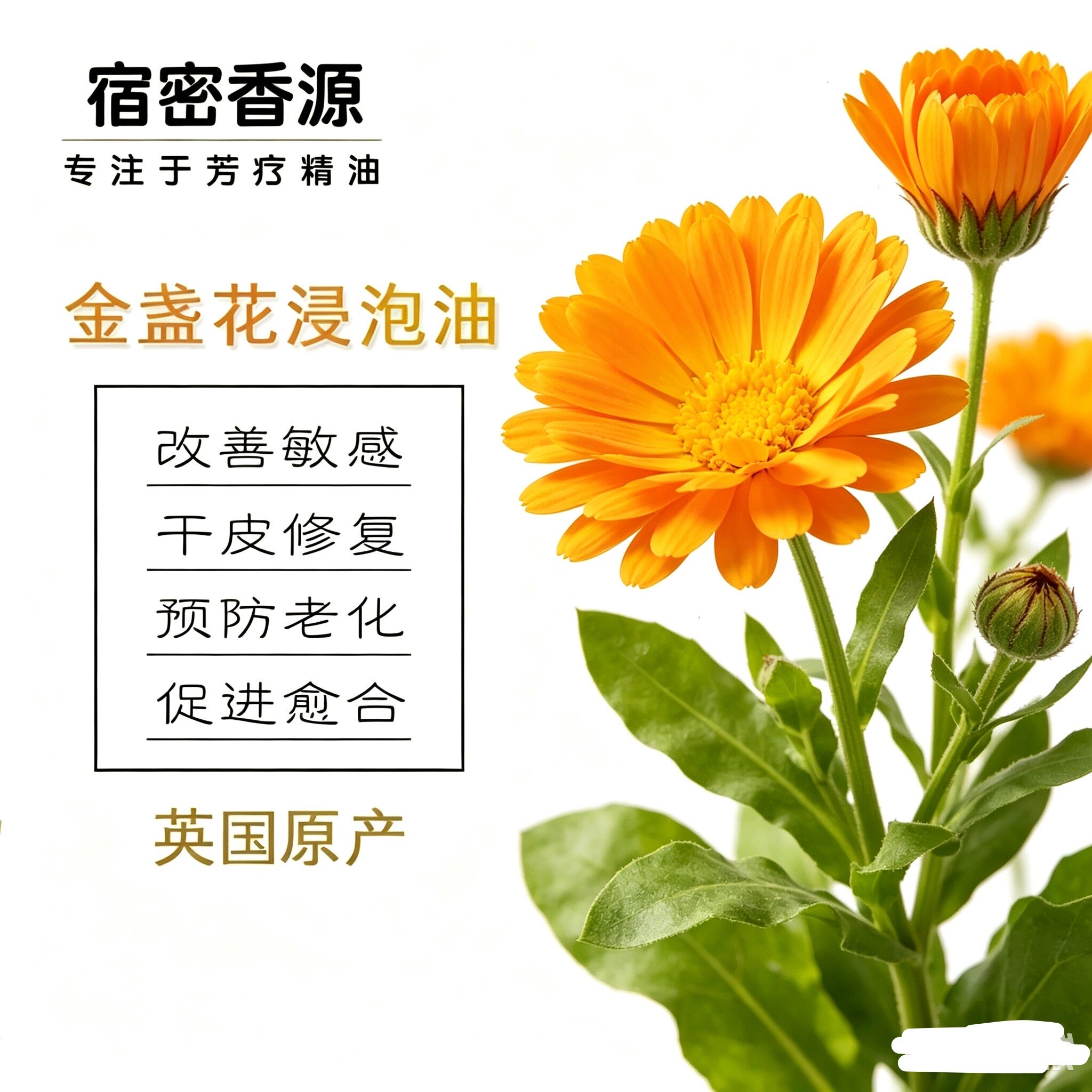 英国金盏花浸泡油基础油初榨敏肌修复舒缓保湿补水呵护肌肤