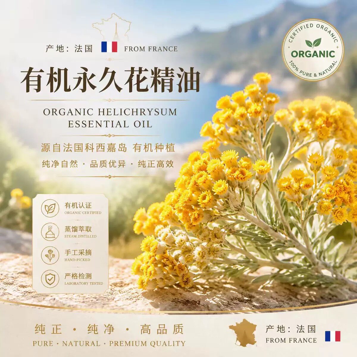 有机纯正科西嘉岛产永久花单方纯精油 蜡菊通络痘印黑眼圈2ml包邮