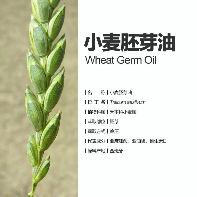 西班牙产小麦胚芽单方精油润肤抗皱深层滋养肌肤修复肌肤屏障保湿