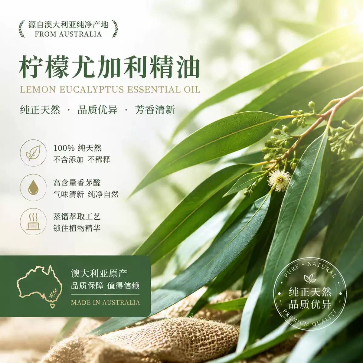 澳大利亚 柠檬尤加利单方精油 天然温和驱蚊虫 平衡油脂 提升自信