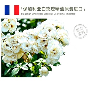 保加利亚原产 白玫瑰单方纯精油 香薰馥雅高贵面部按摩深入补水