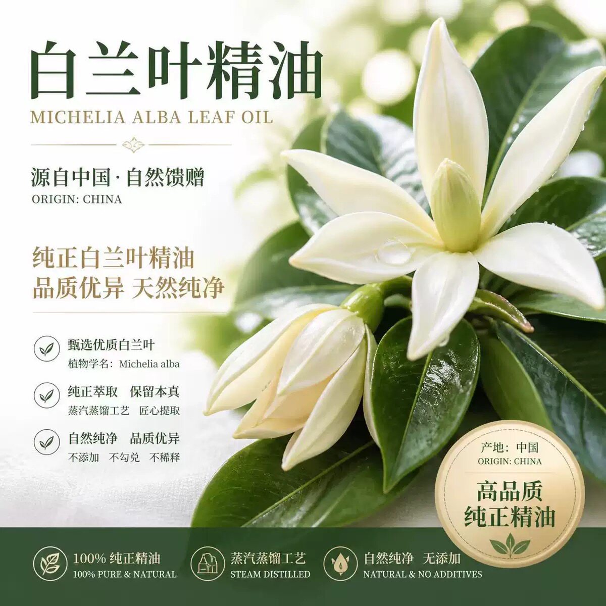 中国产白兰叶单方纯精油天然温和清洁肌肤放松情绪净化空气高品质
