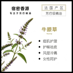 法国产区高地牛膝草单方纯精油 香薰面部按摩护肤芳疗级芳香美容