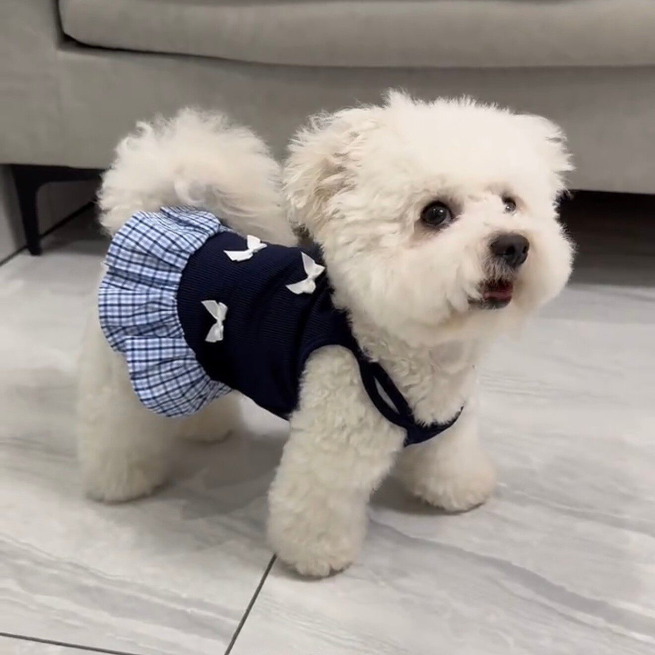 蝴蝶结吊带连衣裙子比熊可爱防掉毛宠物狗狗猫咪衣服夏季透气薄款