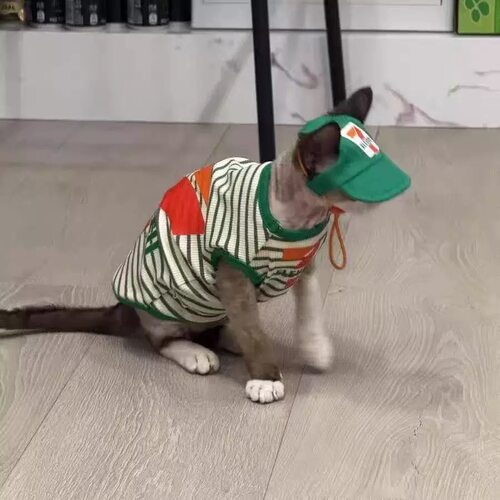 夏季薄款猫猫衣服无毛猫衣服斯芬克斯德文猫网红空调可爱无袖背心
