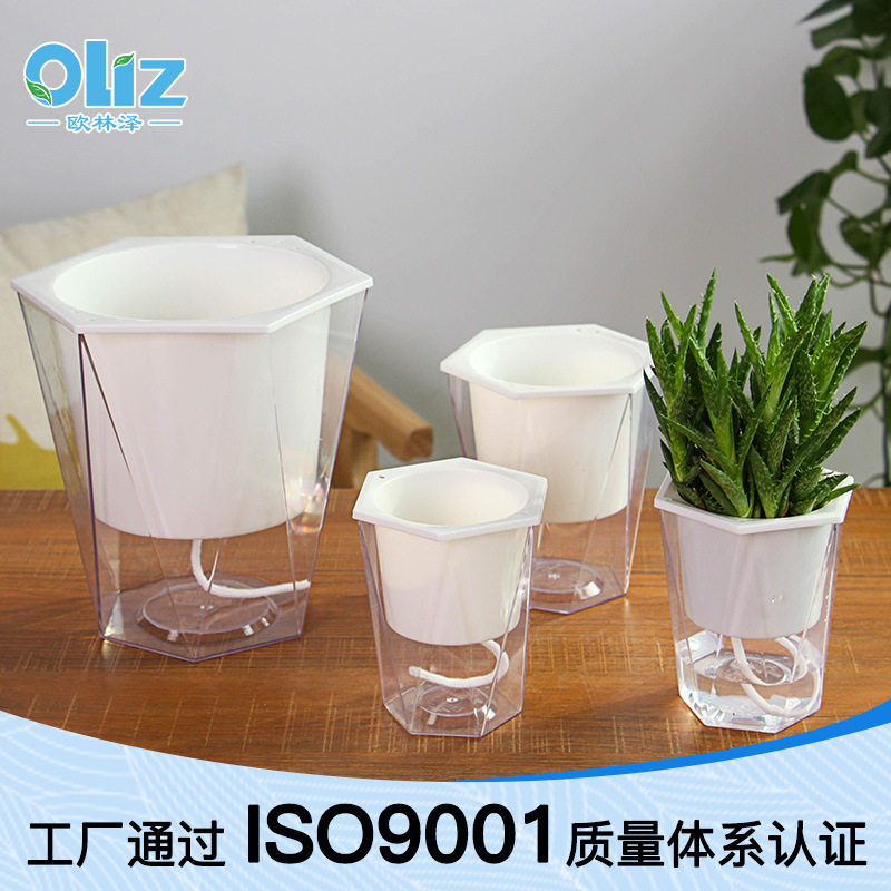 欧林泽懒人自吸水花盆菱形大号全透明塑料多肉水培花盆简约时尚盆