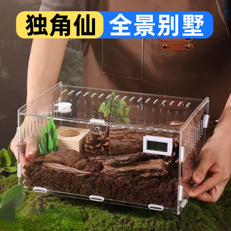 独角仙饲养盒套餐锹甲长戟大兜虫成虫甲虫饲养盒昆虫蜗牛蜘蛛