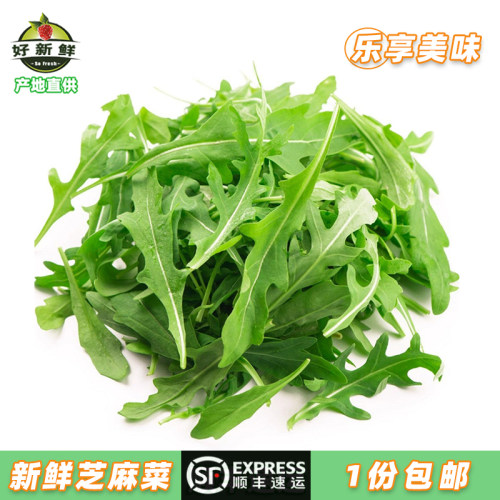 新鲜芝麻叶菜沙拉蔬菜顺丰包邮