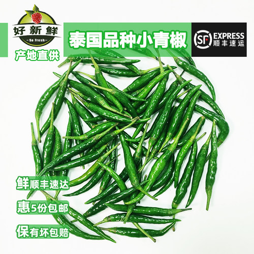 泰国品种小青辣椒指天椒小尖米椒