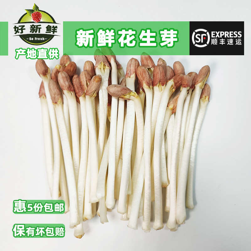 新鲜花生芽高蛋白餐芽苗菜长寿芽西餐沙拉火锅食材现摘现发 250g,水产肉类/新鲜蔬果/熟食,其它,淘宝优惠券,粉丝福利购,淘宝优惠卷