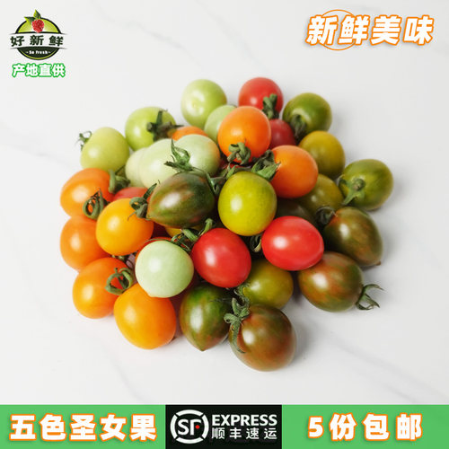 新鲜五色圣女果小番茄西红柿即食