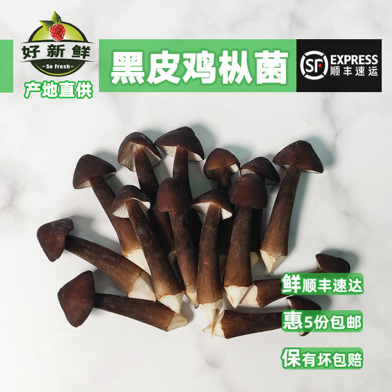 好新鲜果蔬黑皮鸡枞菌 当季时令食用菌蘑菇煲汤炒菜食材 顺丰快递