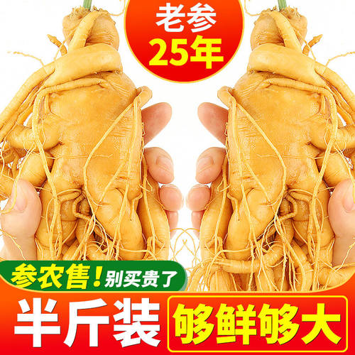 人参中药材泡酒长白山人参500g
